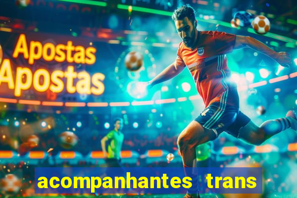 acompanhantes trans baixada fluminense